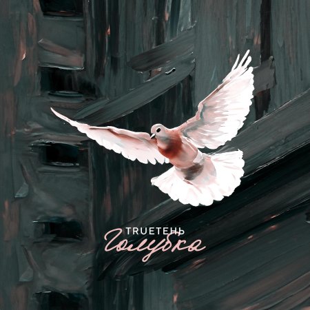 Песня голубка