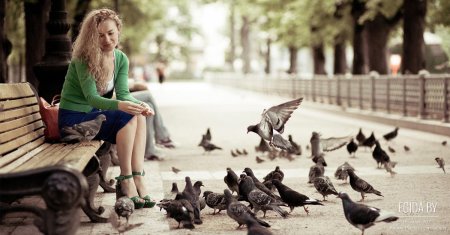 Птицы в парке