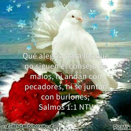 Открытка с голубем