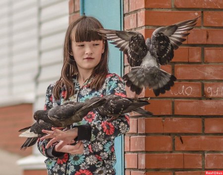 Девушка с голубем