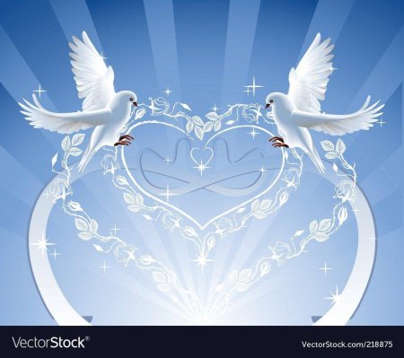 Свадебные голуби