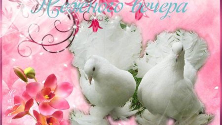 Голуби с пожеланиями