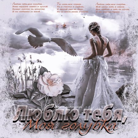 Голубка моя