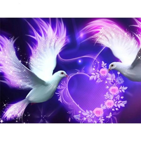 Голуби красивые