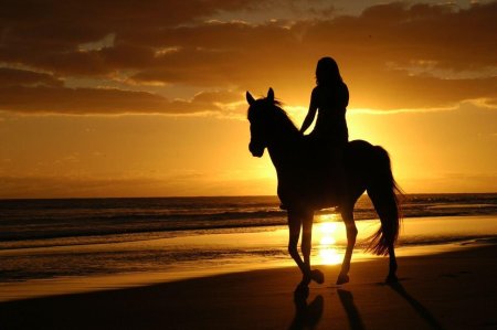 Девушка на лошади закате