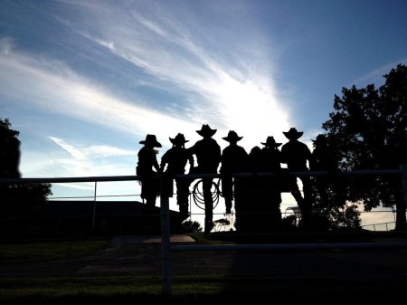 Cowboy sitting on fence