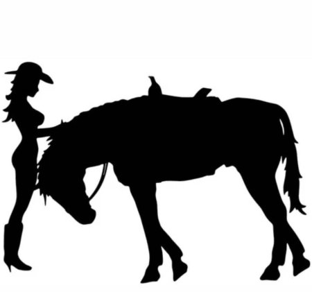 Силуэт лошади