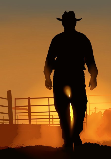 Ковбой уходит в закат