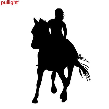 Силуэт девушки на лошади