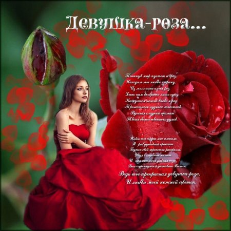 Стихи о розах