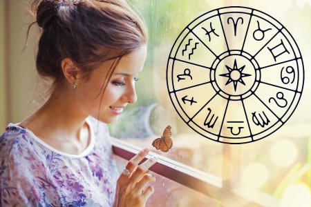 Все знак зодиака