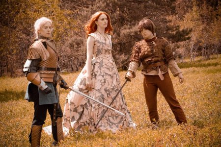 Бриенна тарт косплей