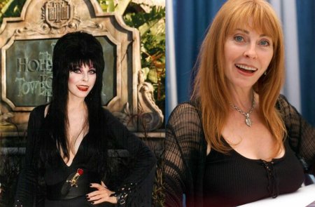 Эльвира повелительница тьмы актриса кассандра петерсон