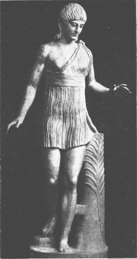 Фидий амазонка маттеи