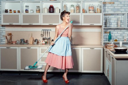 Современная домохозяйка