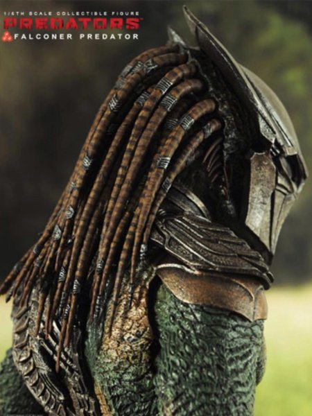 Хищник фальконер хищники 2010