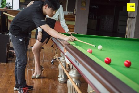 Китайский бильярд