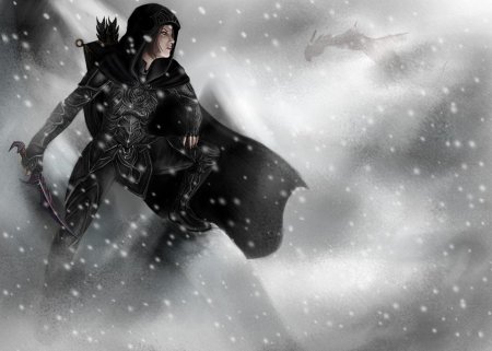 The elder scrolls довакин