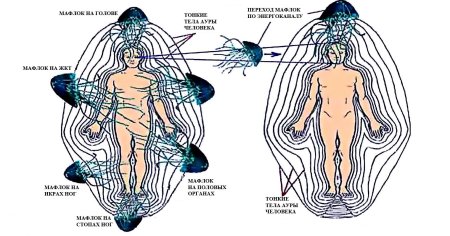 Мафлоки лярвы энергетические