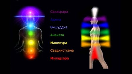 Энергетические центры человека чакры