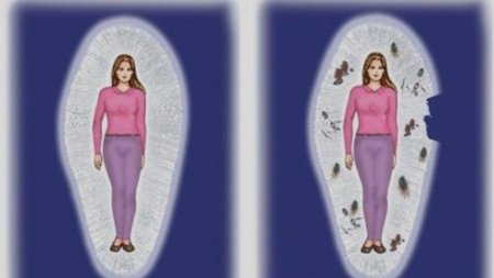 Астральное тело человека астральное тело человека