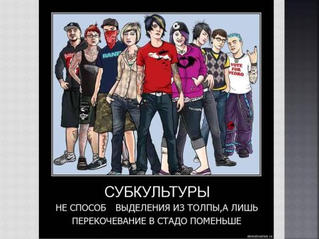 Молодежная субкультура