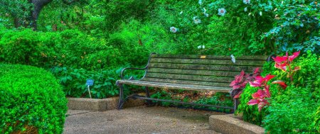 Лавочка в парке