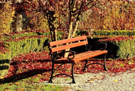 Лавочка в парке