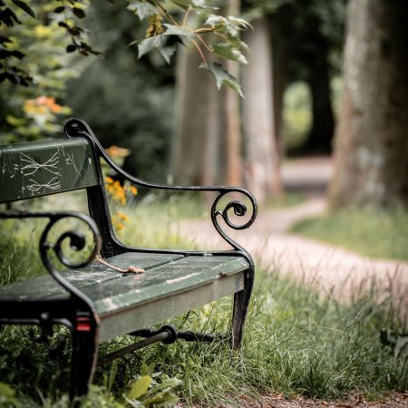 Скамейка в саду