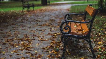 Осень парк скамейка