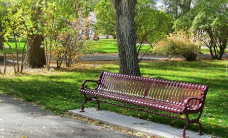 Битцевский парк лавочки