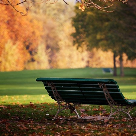 Скамейка в парке
