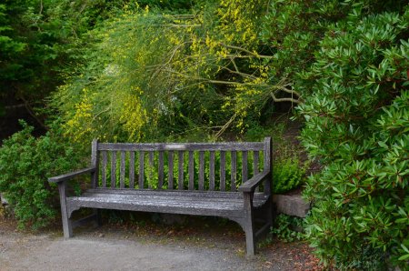 Garden bench