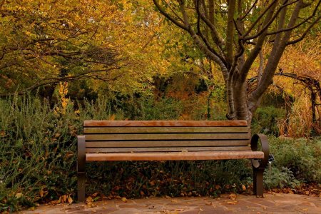 Осень скамейка
