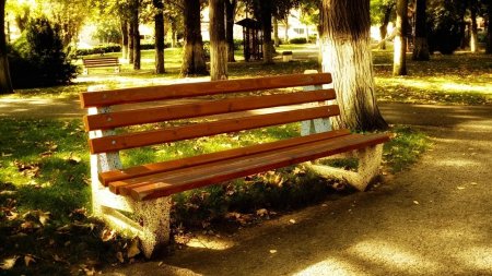 Парк лавочка