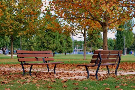 Лавочки парк канта калининград