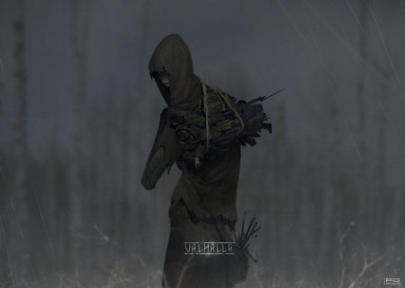 Сталкерстрайк новичок сталкер одиночка