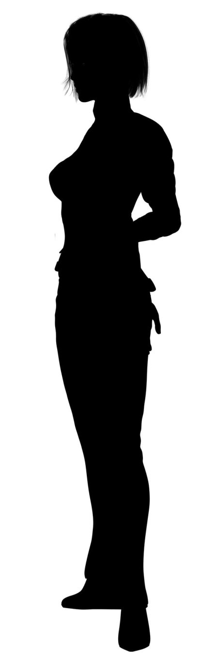 Силуэт деловой женщины