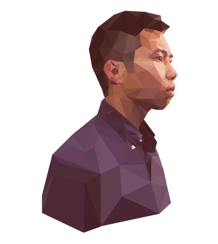 Полигональный портрет