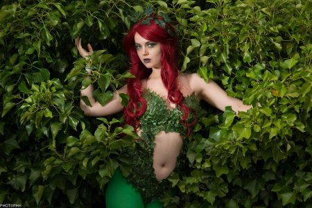 Ядовитый плющ