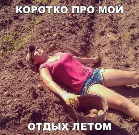 Копаем картошку