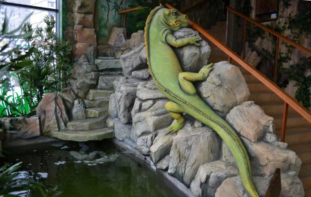 Лимпопо нижний новгород зоопарк