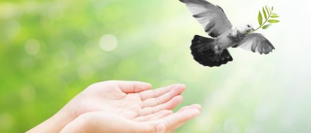Птица на руке
