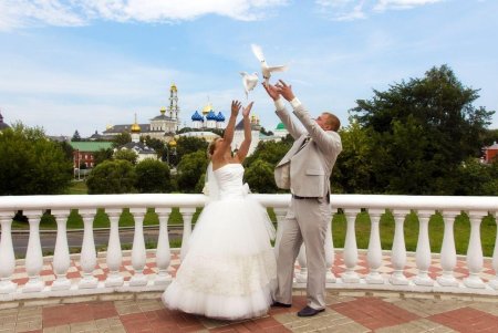 Молодожены голуби