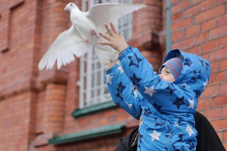 Благовещение голуби