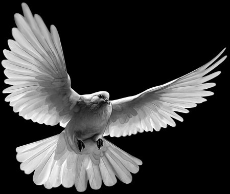 Голуби гравировка на памятник