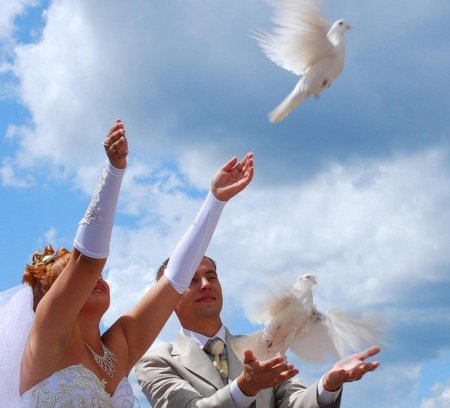 Выпуск голубей на свадьбу
