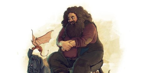 Harry potter хагрид