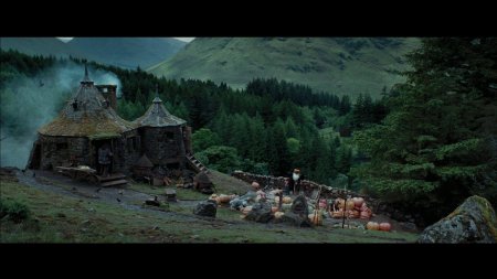 Дом хагрида из гарри поттера