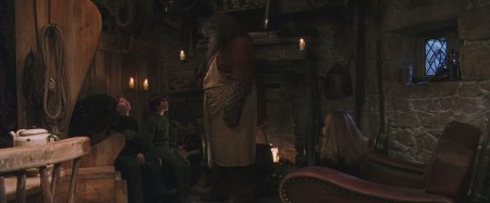 Дом хагрида из гарри поттера внутри